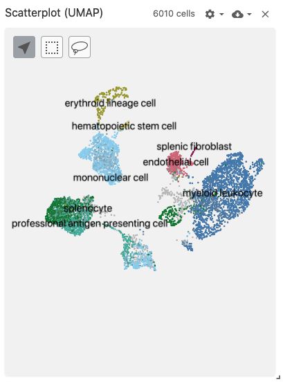 Views Types Vitessce - Incredible Nature Photo - Mobile