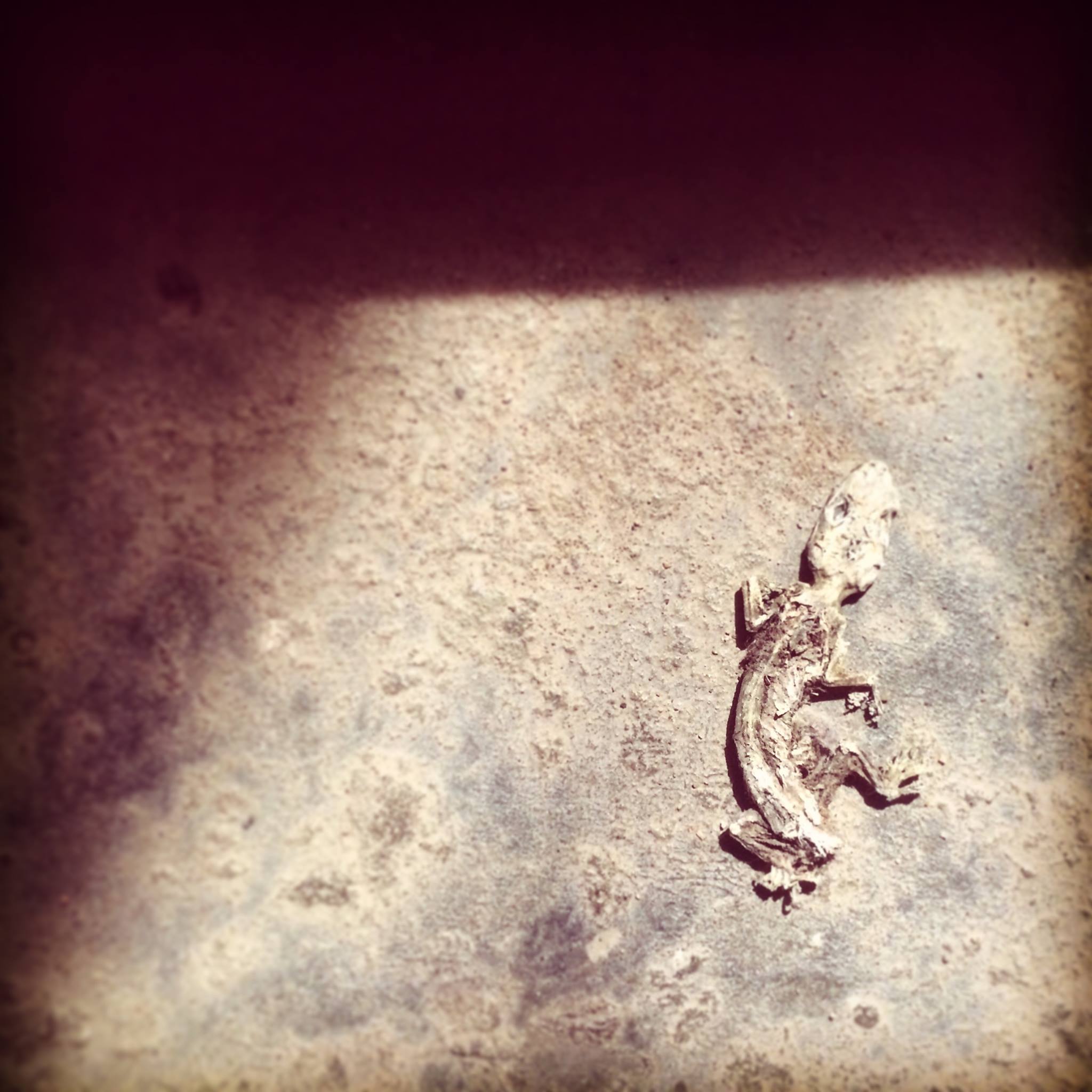 Rebecca died doing what she loved. Basking in the sun and catching a killer tan.