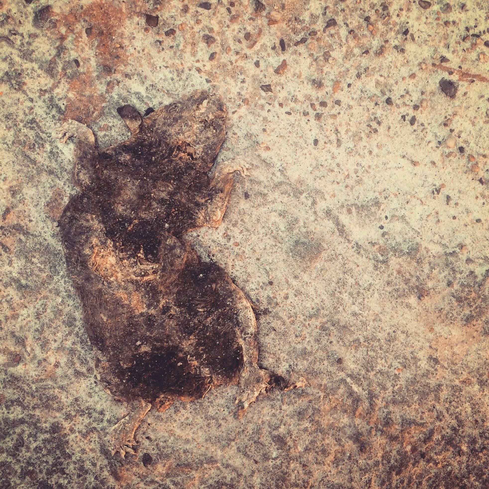 Beatrice had experienced tough days before, but this Wednesday she was feeling particularly run down.