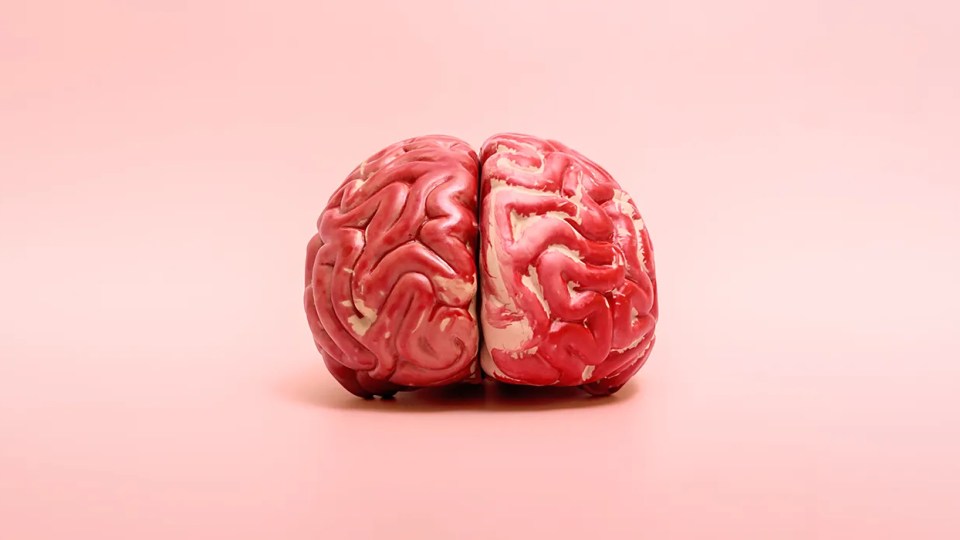 El poder de tu mente: ¿por qué es fundamental en en tu camino al éxito?