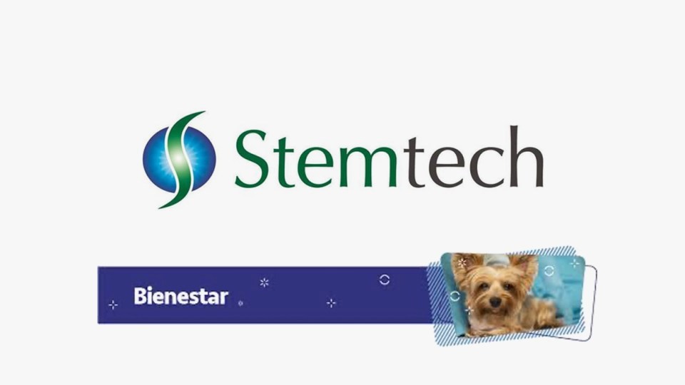 Stemtech anuncia novedosa serie de productos para el bienestar de las mascotas