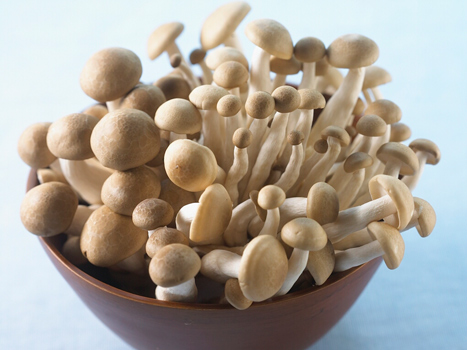 Brown Clamshell (Beech mushroom) (CD) - Viva Gourmet