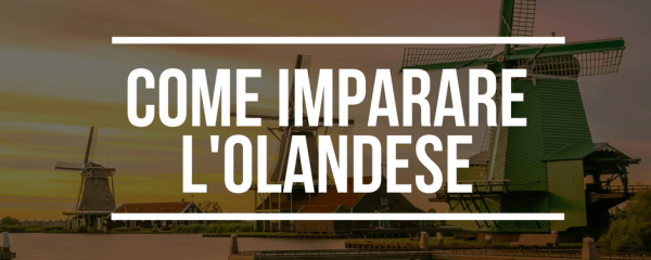 Vivere Ad Amsterdam - Italiani In Olanda E Dintorni 240_x_600_png