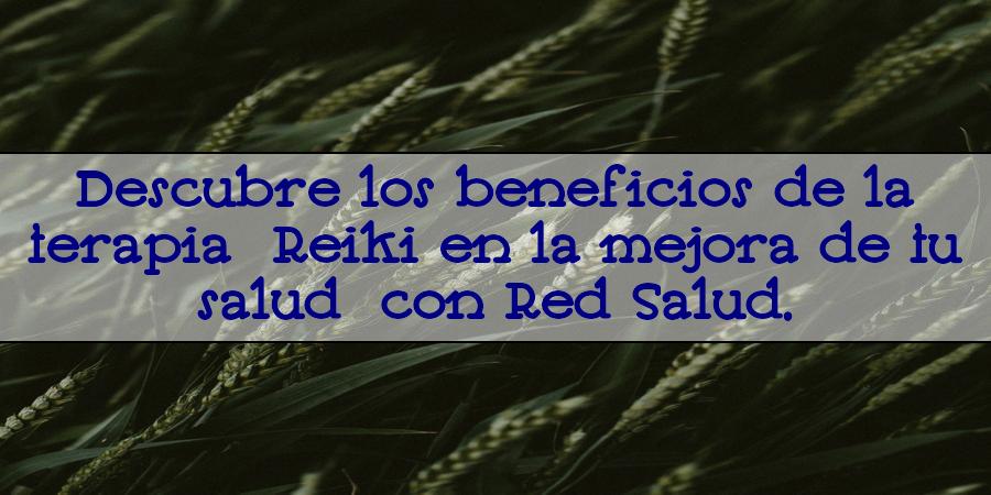 red salud reiki