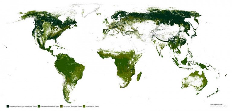 Mapping The Of Norway S Untouched Forests Vivid Maps.