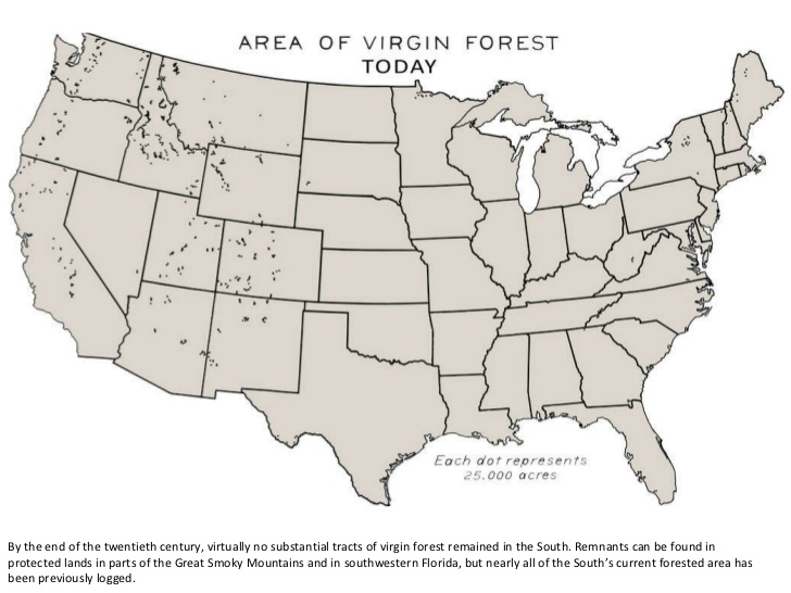 The Forest Cover Of The United States Mapped Vivid Maps Virgin Forests US 