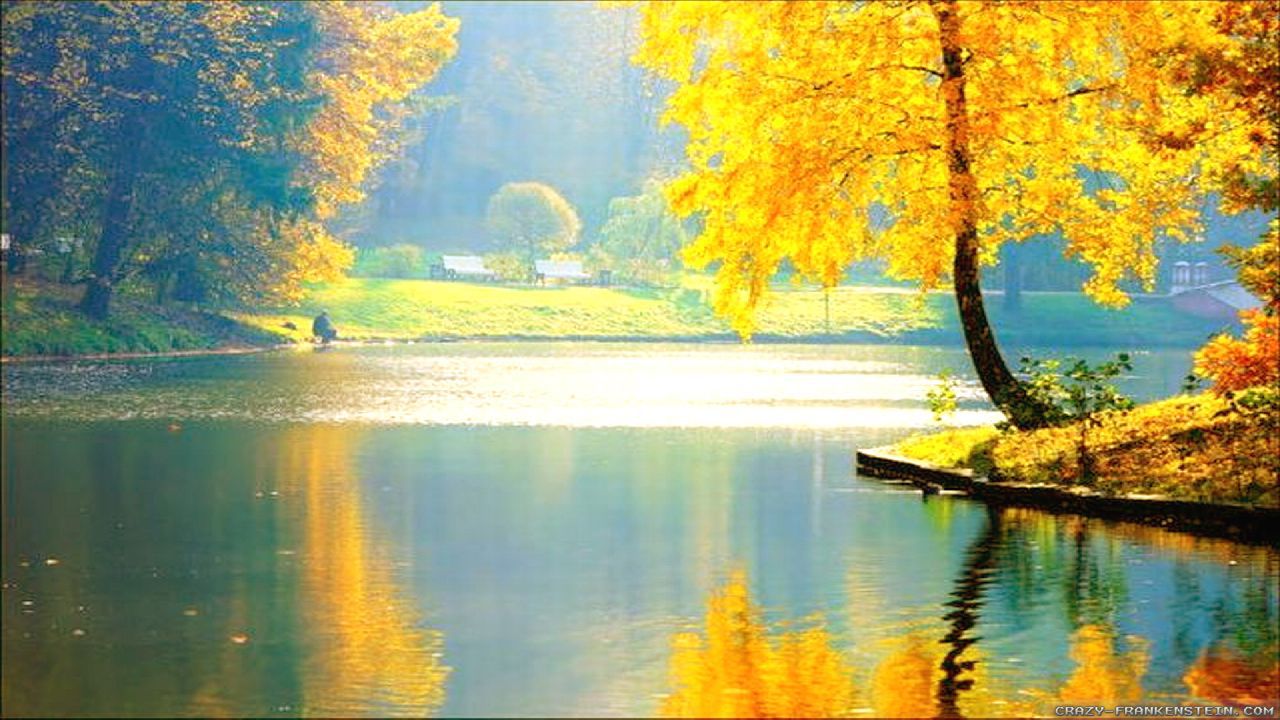 Most beautiful photos in the world. Beautiful Mind Vivi S Kardia