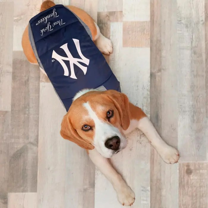 Chaleco con diseño de los Yankees para perros