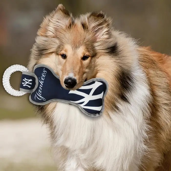 Juguete dental con diseño de los Yankees para perros