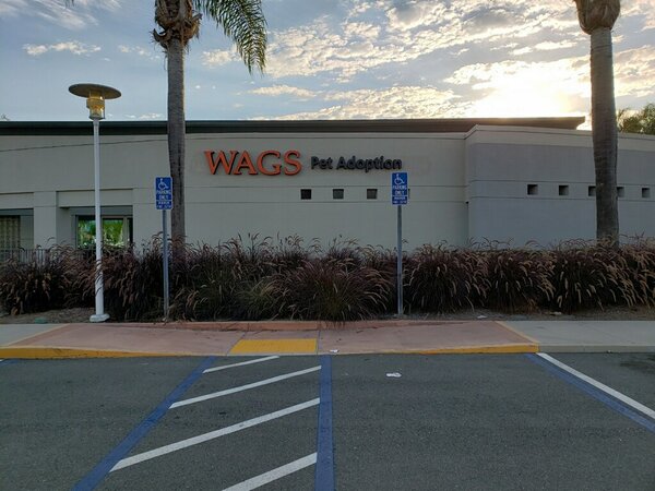 WAGS Channel Letter Signs in Fountain Valley, CA