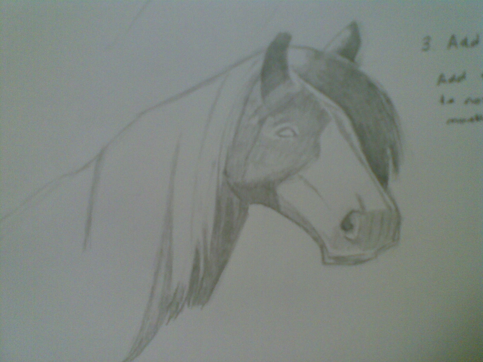 Realistic Animal Drawings Easy Realistic Easy Drawings Of Animals