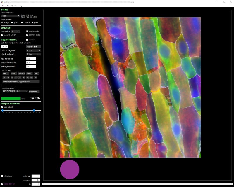 Github Polykko Neuron Segmentation Cellpose2 0 Cellpose 2 0 Models - Amazing High Resolution Dark Textures | Free Download