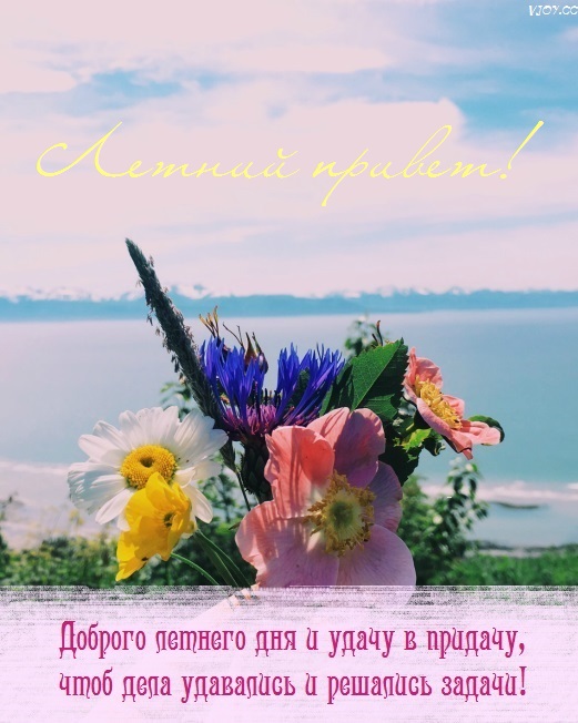 хорошего летнего дня картинки рисованные
