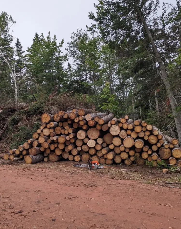 Chainsaw service