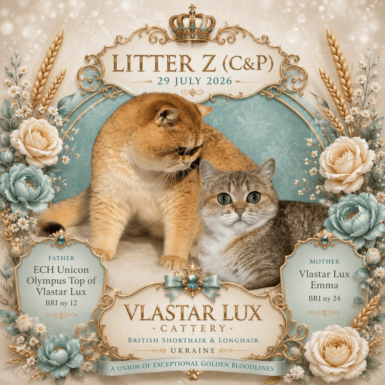 Litter Z(C&P)