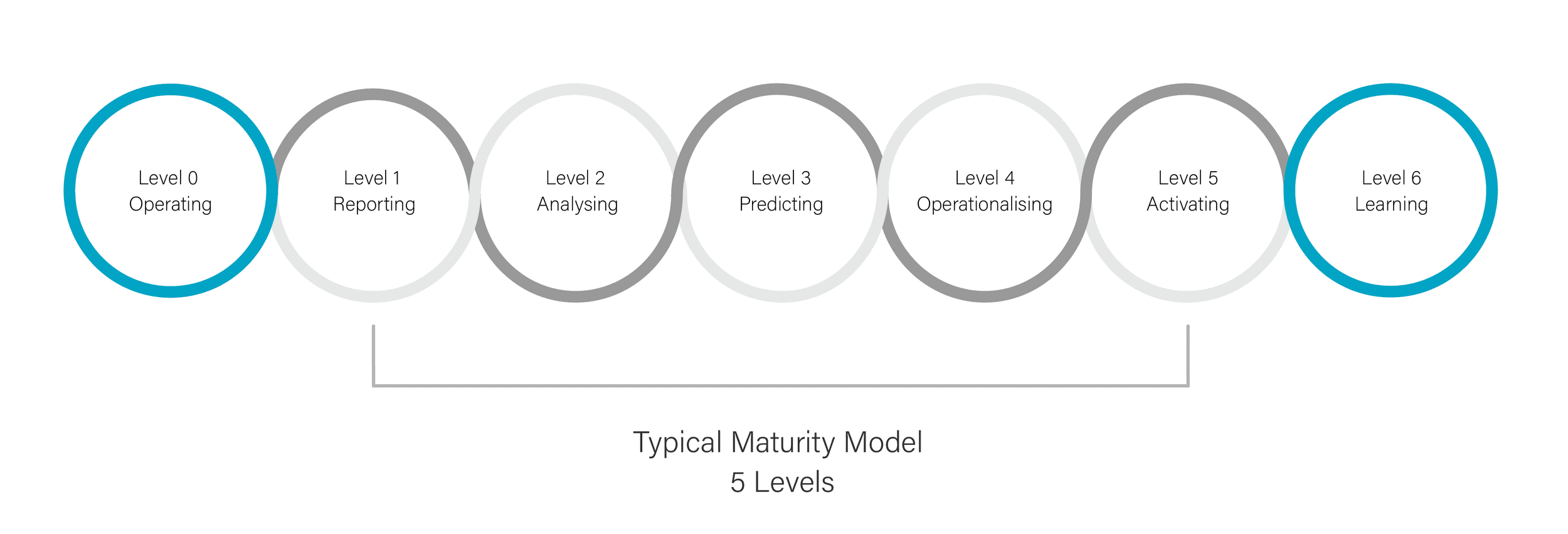 Maturity level chart