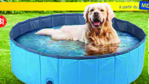 Promotion Lidl Piscine Gonflable Playtive Junior Piscine Sauna Valide Jusqua 4 Promobutler