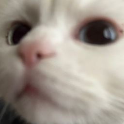 Equicord Documentation - Colorful Arts - Professional Ultra HD Collection