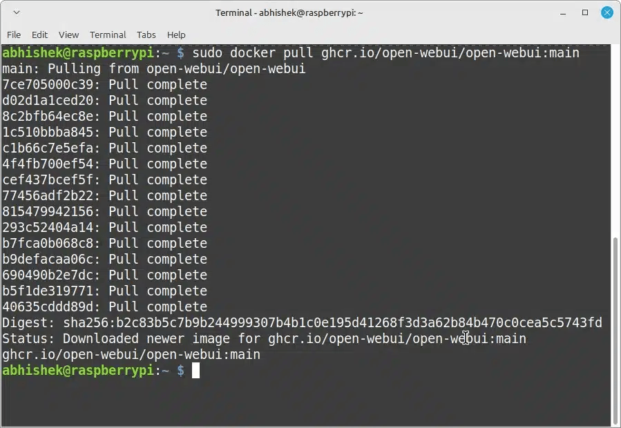 Run the DeepSeek R1 template on your local Linux system