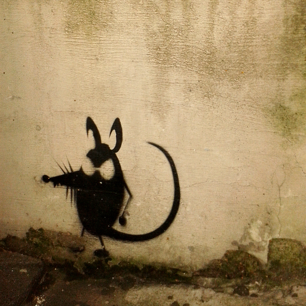 Museum für verwandte Kunst, Passagen 2015