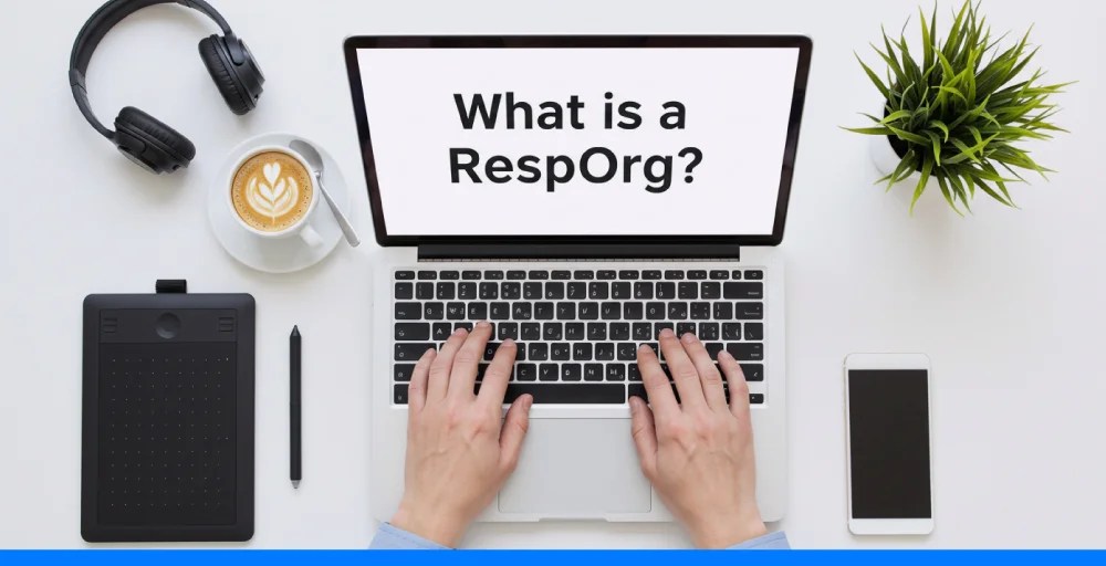 What is a resporg? a easy guide to responsible organization