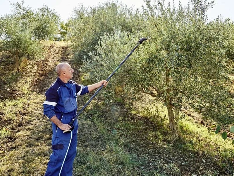 Campagnola STAR 40 CON ADATTATORE