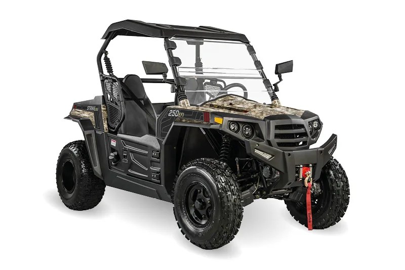 Hisun Strike 250