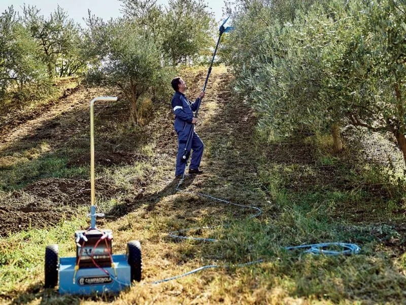 Campagnola ELEKTRA