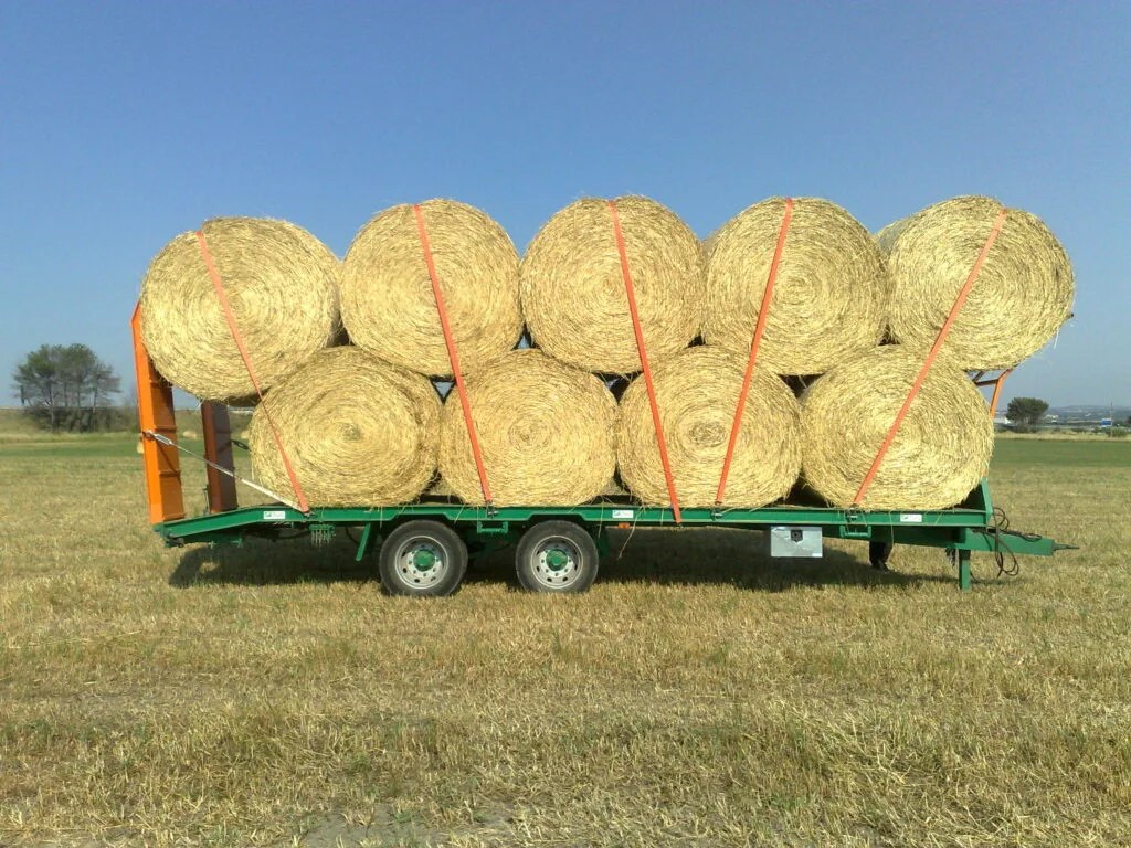 Zingaro Rimorchio tandem carrellone 120/140 q.li Mother Regulation