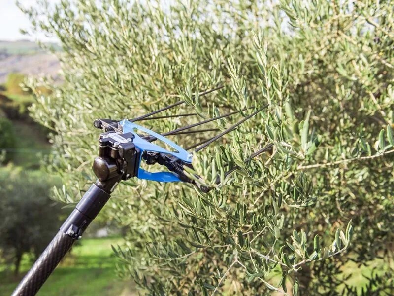 Campagnola STORM V1