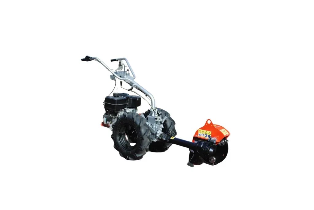 Caravaggi FRCP MTC