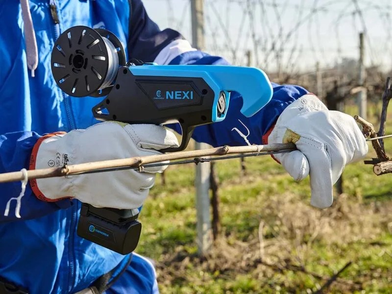 Campagnola NEXI