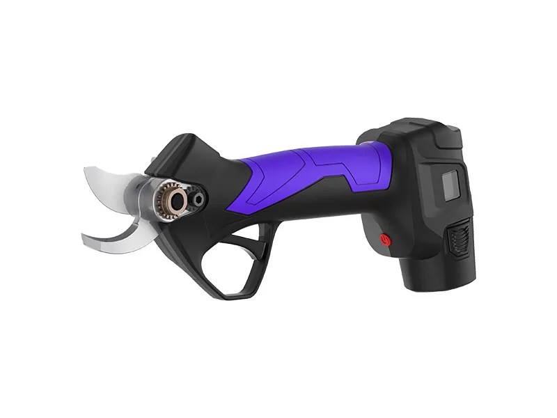 Campagnola SL23