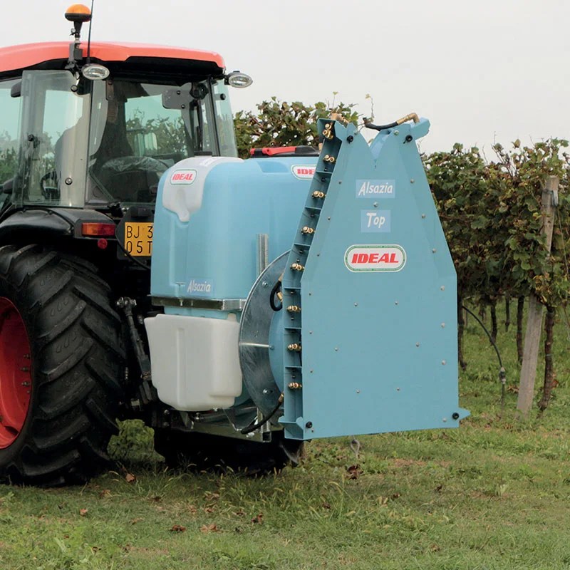 Ideal Alsazia Top Portato