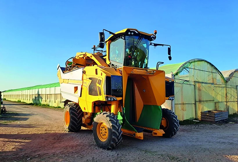 Grégoire GX10.6
