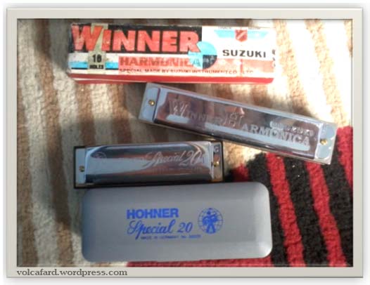 Di sini, kaka bermain harmonika. Pengalaman Belajar Harmonika Go Sleep