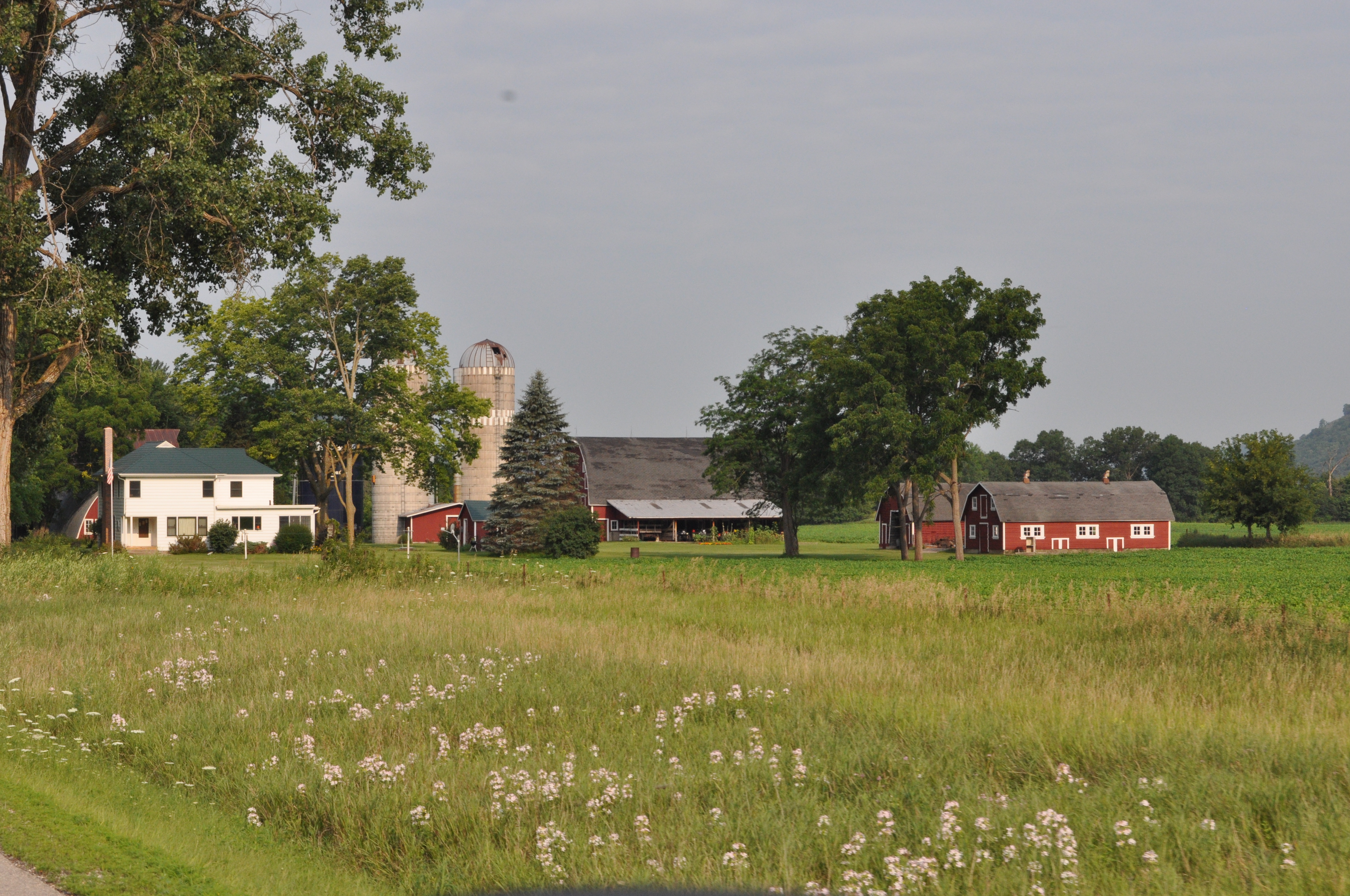 Minnesota farm idyll