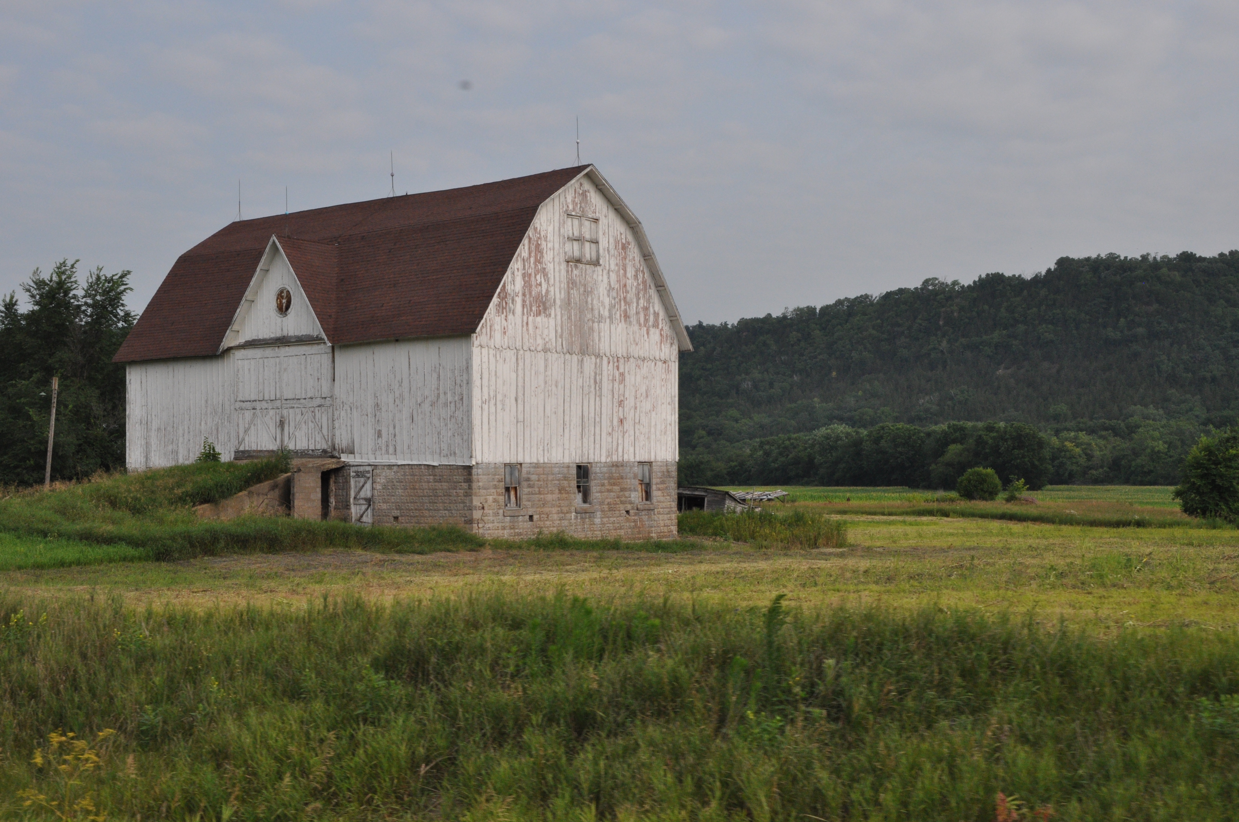 DSC_1850