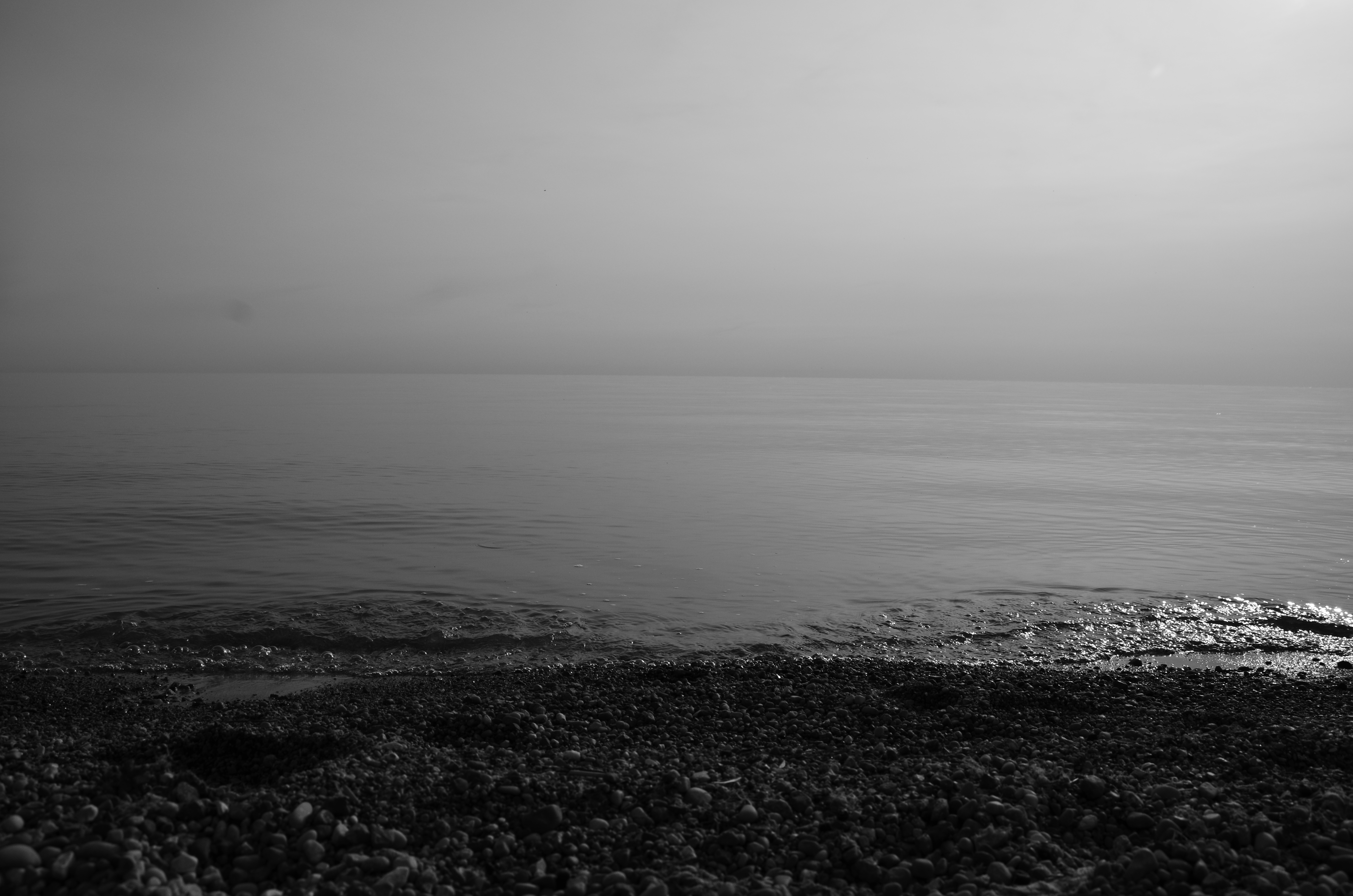 DSC_4027