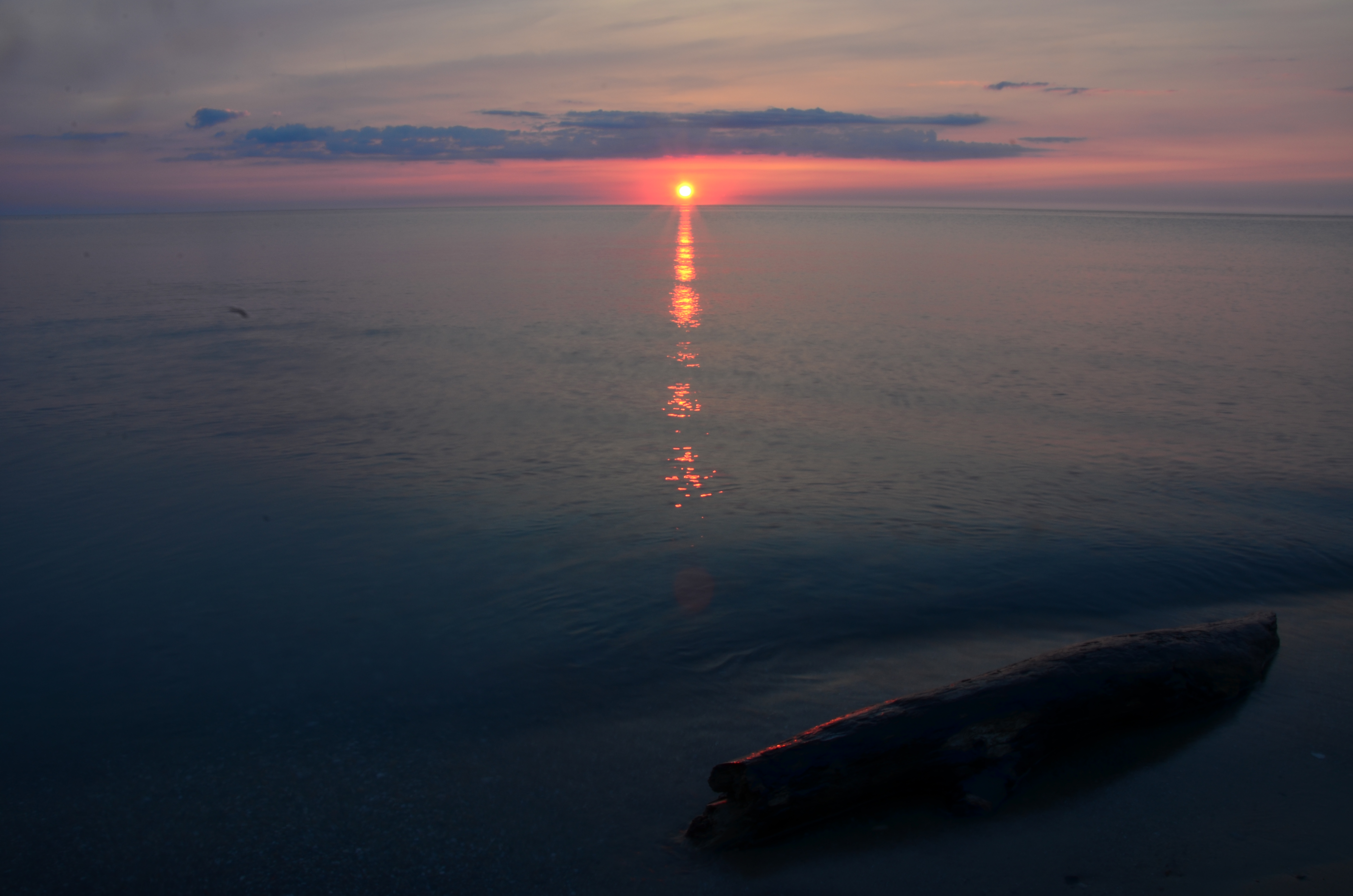 DSC_4048