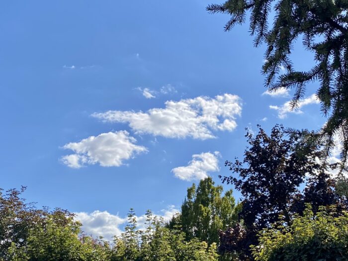 Wolken