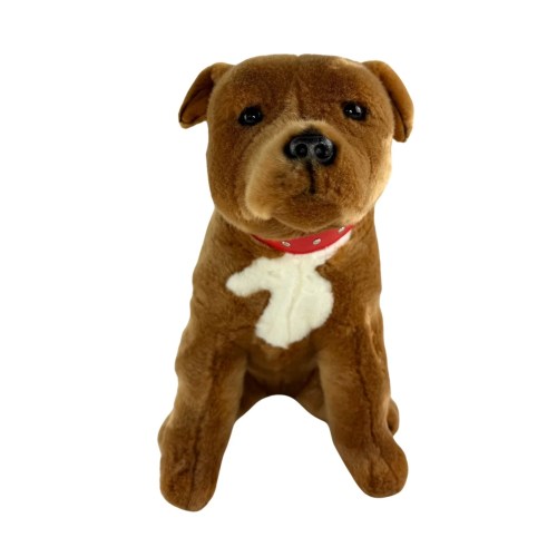 Bull Terrier Brown
