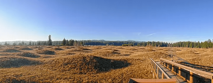 Mima Mounds
