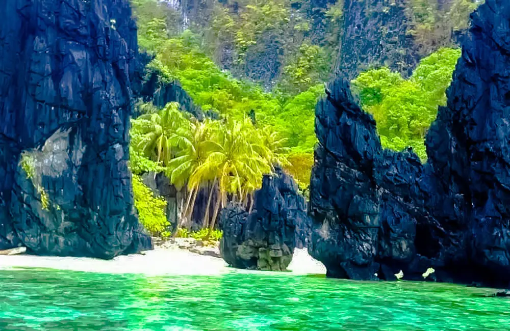Palawan Vortex