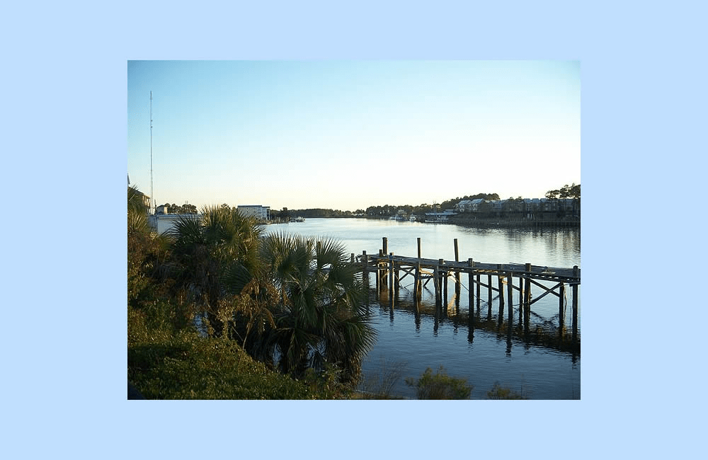 Tate's Hell State Forest Vortex