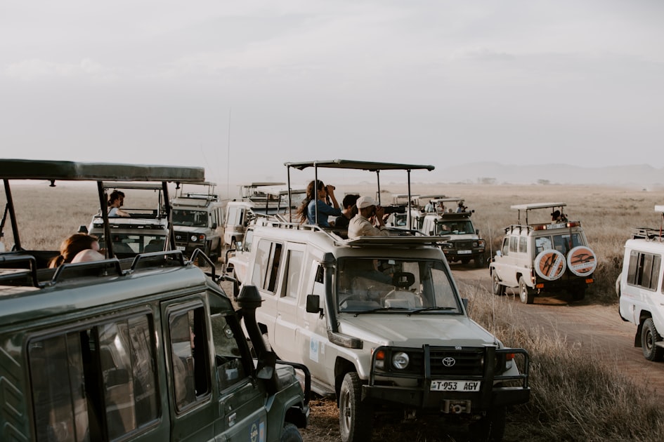 Top 5 Zanzibar Tours You Must Experience