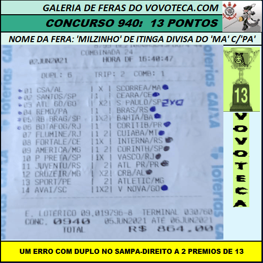 940 13P MILZINHO