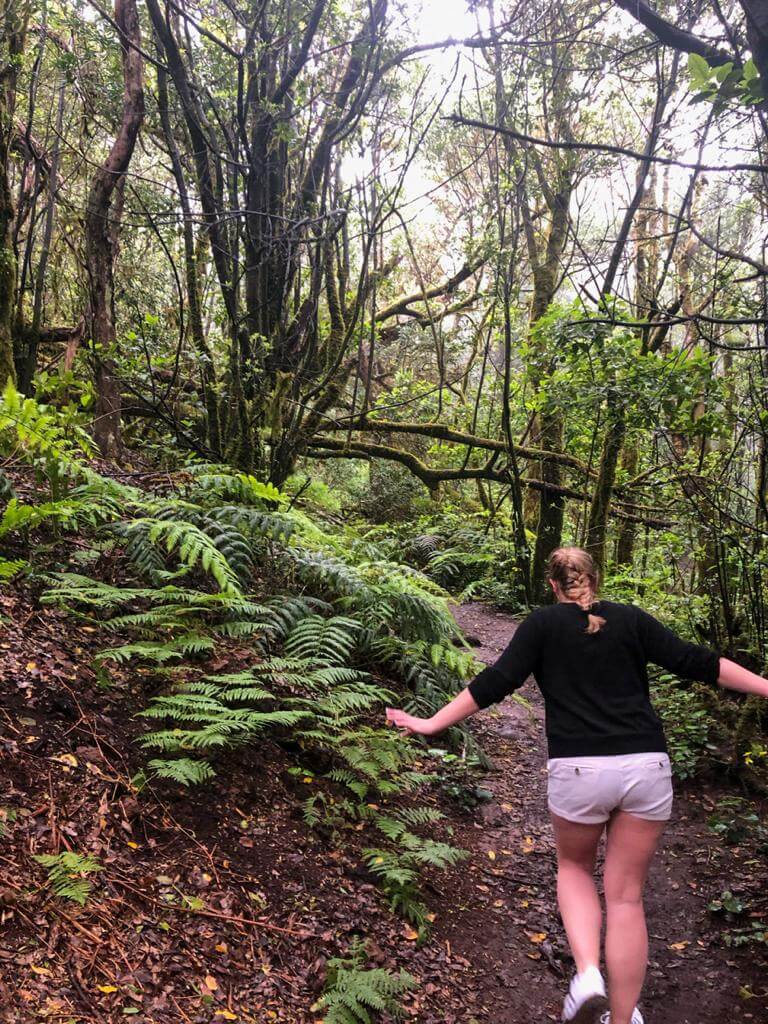Parc rural d'anaga - Tenerife