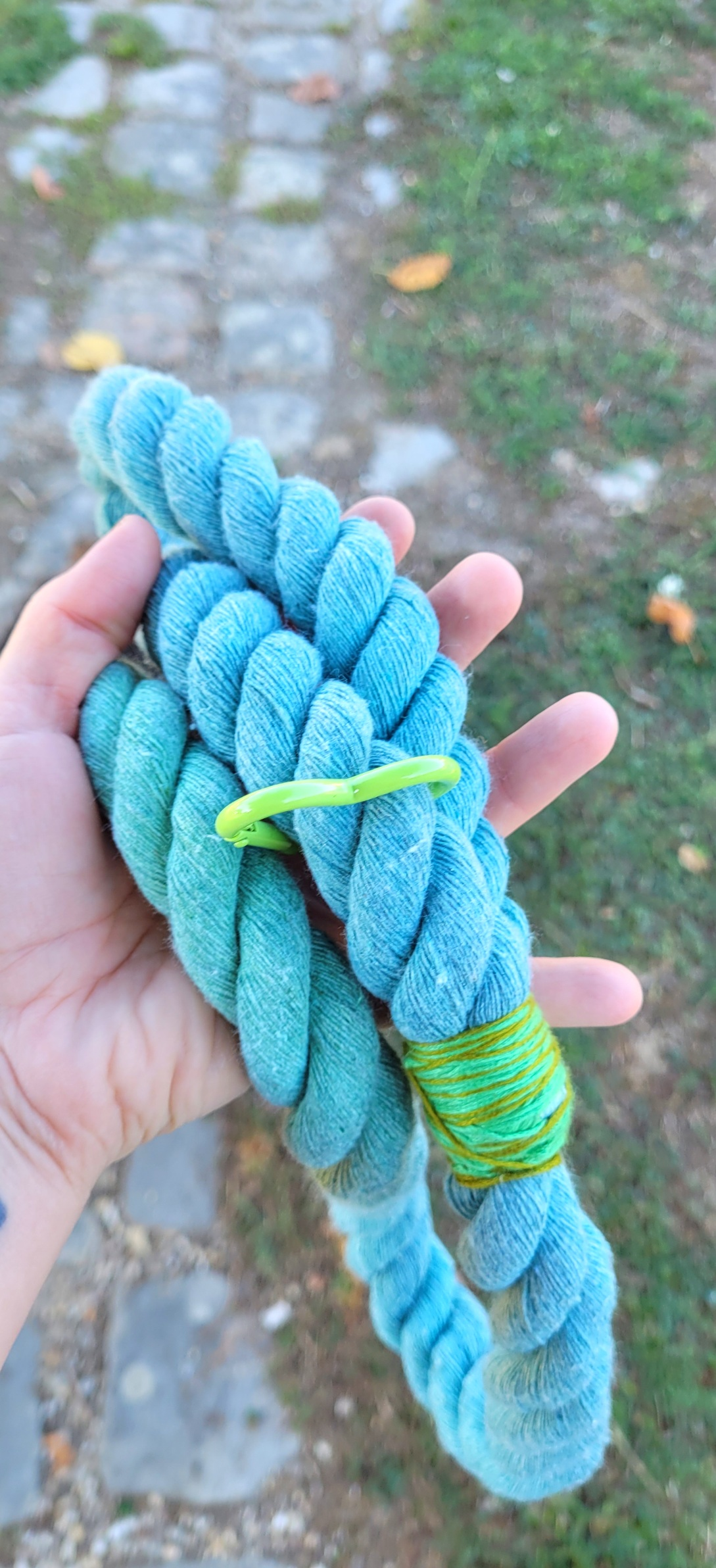 rope leash in my little hand