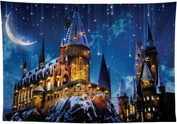 Allenjoy 10X8ft Magic Castle Witch Wizard School Backdrop 